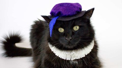 cat shakespeare