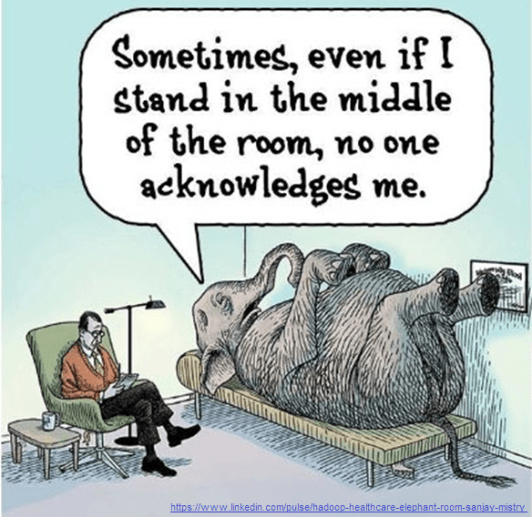 elephant psychiatry